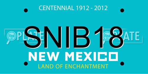 SNIB18 New Mexico License Plate