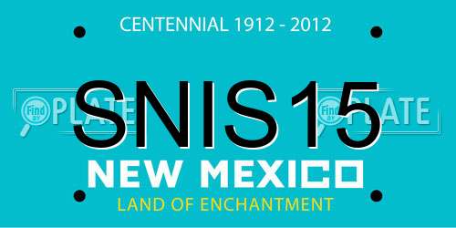 SNIS15 New Mexico License Plate