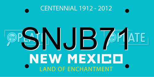 SNJB71 New Mexico License Plate