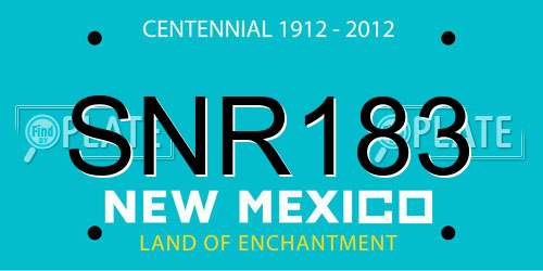 SNR183 New Mexico License Plate