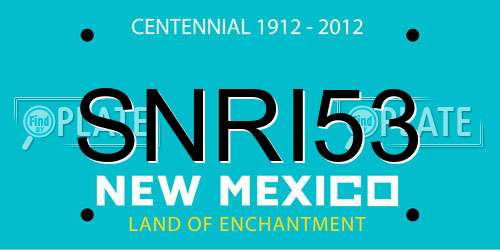 SNRI53 New Mexico License Plate