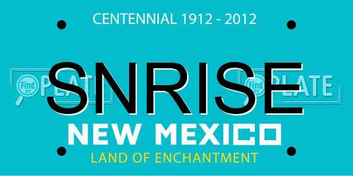 SNRISE New Mexico License Plate