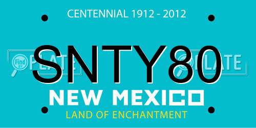 SNTY80 New Mexico License Plate