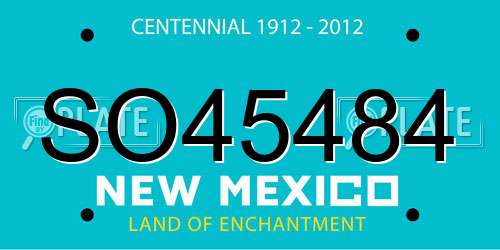 SO45484 New Mexico License Plate
