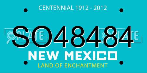 SO48484 New Mexico License Plate