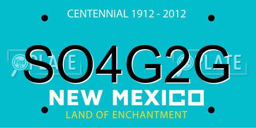 SO4G2G New Mexico License Plate