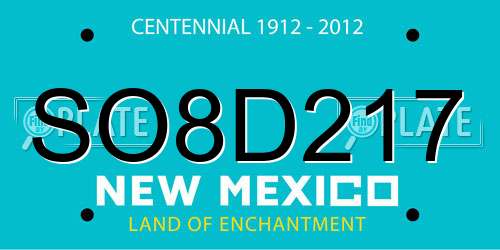 SO8D217 New Mexico License Plate