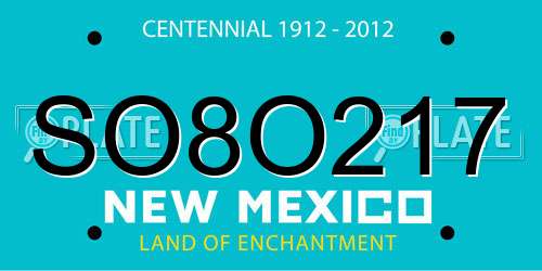SO8O217 New Mexico License Plate