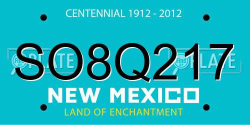 SO8Q217 New Mexico License Plate