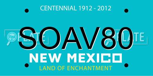 SOAV80 New Mexico License Plate