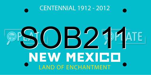 SOB211 New Mexico License Plate