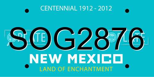 SOG2876 New Mexico License Plate