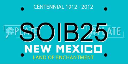 SOIB25 New Mexico License Plate