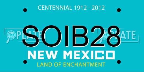SOIB28 New Mexico License Plate