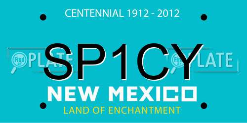 SP1CY New Mexico License Plate