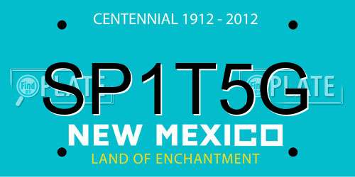 SP1T5G New Mexico License Plate