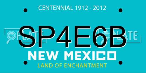 SP4E6B New Mexico License Plate