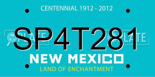 SP4T281 New Mexico License Plate