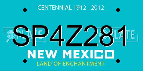 SP4Z281 New Mexico License Plate