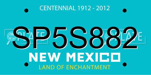 SP5S882 New Mexico License Plate