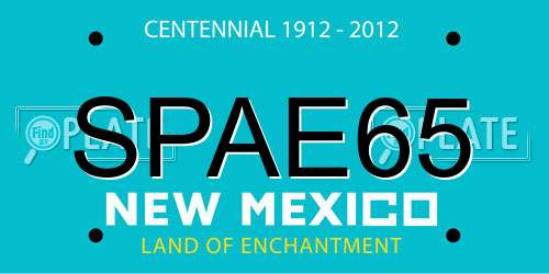 SPAE65 New Mexico License Plate
