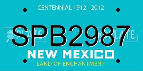 SPB2987 New Mexico License Plate