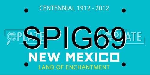 SPIG69 New Mexico License Plate