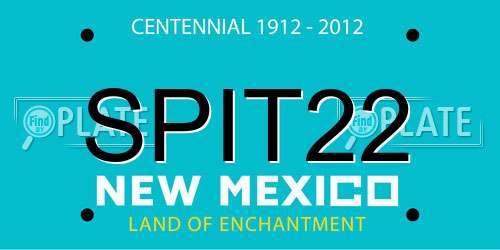 SPIT22 New Mexico License Plate