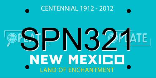 SPN321 New Mexico License Plate