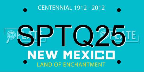 SPTQ25 New Mexico License Plate