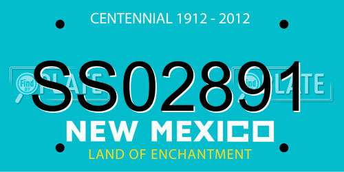 SS02891 New Mexico License Plate