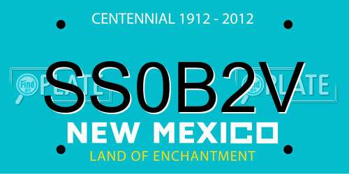 SS0B2V New Mexico License Plate