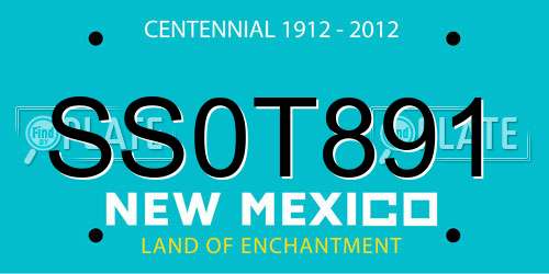 SS0T891 New Mexico License Plate