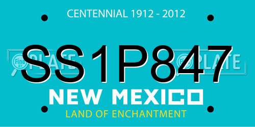 SS1P847 New Mexico License Plate