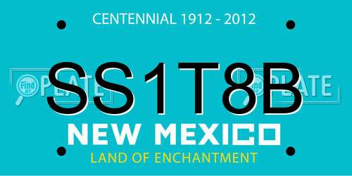 SS1T8B New Mexico License Plate