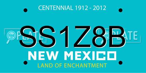 SS1Z8B New Mexico License Plate
