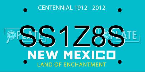 SS1Z8S New Mexico License Plate