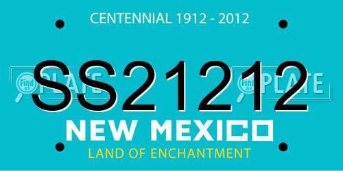 SS21212 New Mexico License Plate