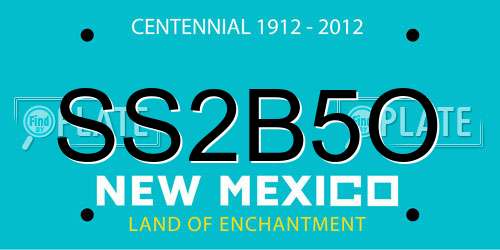 SS2B5O New Mexico License Plate