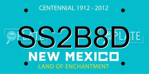 SS2B8D New Mexico License Plate