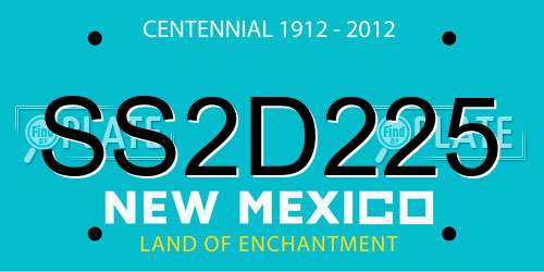 SS2D225 New Mexico License Plate