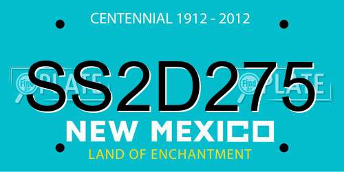 SS2D275 New Mexico License Plate