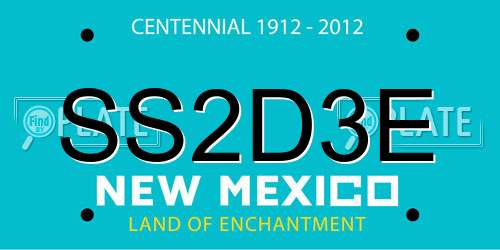 SS2D3E New Mexico License Plate