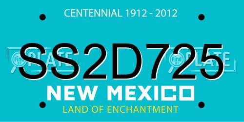 SS2D725 New Mexico License Plate