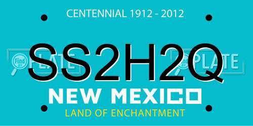 SS2H2Q New Mexico License Plate