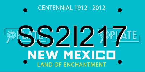 SS2I217 New Mexico License Plate
