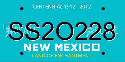 SS2O228 New Mexico License Plate
