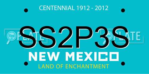 SS2P3S New Mexico License Plate