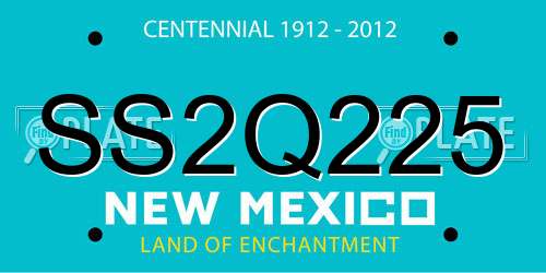 SS2Q225 New Mexico License Plate