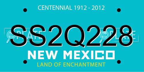 SS2Q228 New Mexico License Plate